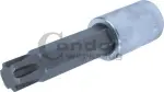 socket 1/2 inches RIBE M14X100 MM cylinder cover engines FIAT