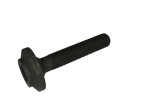 AIC 52042 / screw m14x1.5, inner torx, 8.8