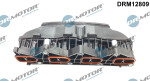DR MOTOR DRM12809