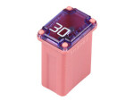 fuse micro JapVal 10 10.7x7.7x15mm
