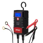 digital inverter AGM gel standardne LFP max 4a 6v 12v pro hook amio-04531
