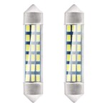 LED standard 41mm 12V 2pc Amio