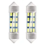 LED standard 36mm 12V 2pc Amio