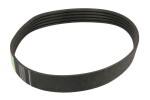 OPTIBELT 1001241AP / V-ribbed belt 517x13.5x2150 fits: case ih 100, 101, 1400, 1420, 1440 e, 1460, 1460 e, 1480, 1620, 1640, 1640e, 1644, 1660, 1666, 1668, 1670, 1680, 1682, 1688, 1690, 16810, 234, 2055, 2144, 2155