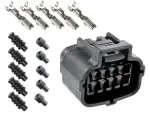 plug 10-pin