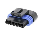 sockets body