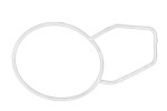 OE BMW 11 53 7 509 357 / coolant thermostat gasket fits: bmw 3 (e36), 3 (e46), 3 (e91), 5 (e34), 5 (e39), 5 (e60), 7 (e38) 2.0-3.0 03.90-12.12