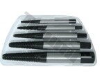 broken bolt extractors set 5- pc profi triumf