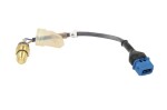 Termostat emergency lisasoojenduse WEBASTO DW300 14944A