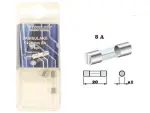 Glass tube fuse 5x20mm 8A