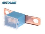 fuse Jaapan 100A
