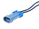 plug 2-pin, wired. (GM)