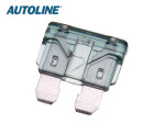 fuse GM 2A 19x20mm