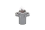 bulb 13597