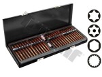 54pc torx, hex, 12- star bits s2 pro set triumf