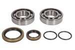 ALL BALLS 24-1128 / frame halls fits: beta rr, rx, xtrainer 250/300 2013-2022