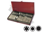 54pc torx, hex, 12- star bits set triumf