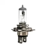 bulb 1 987 302 803