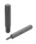 Torx T55, length 75 mm