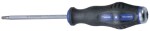 Torx screwdriver T25 x 100 mm, löökpea