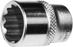1/2" inch-size socket short 19/32". 12-Point triumf