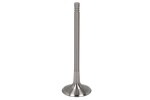 TRW 331125 / intake valve (33.9x6x104) fits: audi a1, a3, a4 allroad b8, a4 b7, a4 b8, a5, a6 c6, a6 c7, a7, a8 d4, q3, q5, r8, r8 spyder, tt, seat alhambra, altea, altea xl, exeo, exeo st 1.8-5.2 09.04-07.19