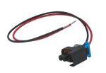 connection 2-pin.sprayer,DELPHI,