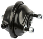 PIDURIKAMBER T20