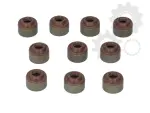 the valve stem seal set 10pc (KAWASAKI)