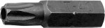 8mm(5/16") bit TORX aperture short th27 triumf