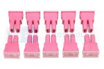 protection japval female 30y pink
