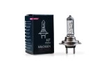 BULB 24V H7 100W PX26D