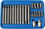 22pc ribe-torx bits set pik./short triumf