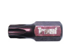 torx bit T45 short , S2 MAT. (130T) TRIUMF