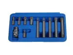 triumf 12- star bit. set. 11.-pcs. long/ short. m5-m12