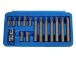 triumf torx ending. set. 15.-pcs. long/ short. t20-t55