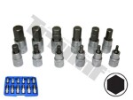 12 part. 1/2" six point bits set 5-22mm triumf