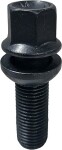 bolt pk14x1.50/36/17 (pk/r13. p57.5. ch17) wp22/s. black zn-ni. koonusseibiga