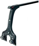 JALAPAAR (height 40-50CM)1 TALALE (SL)