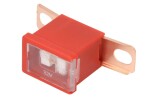 fuse ( current .: 50A)