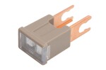 fuse ( current .: 70A)