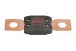 fuse ( current .: 80A)