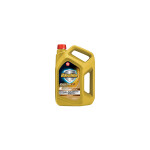 engine oil Full synth Havoline ProDS F SAE 5W-20 4L