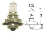 halogen bulb 6V S3