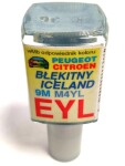 ARASYSTEM EYL / arasystem varnish car 10ml