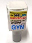 ARASYSTEM GYN / arasystem varnish car 10ml
