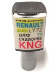 ARASYSTEM KNG / arasystem varnish car 10ml