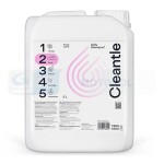CLEANTECH CTL-DS5L / cleantle daily shampoo 5l fruits scent