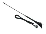 Car antenna