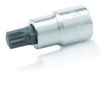socket spline / xzn 3/8"